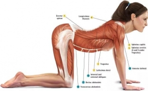 Egészségnevelés, a növésben lévő gyermekek mozgásszervi panaszainak enyhítése 4
