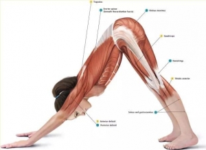 Egészségnevelés, a növésben lévő gyermekek mozgásszervi panaszainak enyhítése 6