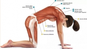 Egészségnevelés, a növésben lévő gyermekek mozgásszervi panaszainak enyhítése 3