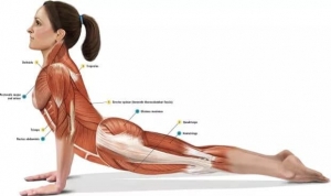 Egészségnevelés, a növésben lévő gyermekek mozgásszervi panaszainak enyhítése 5